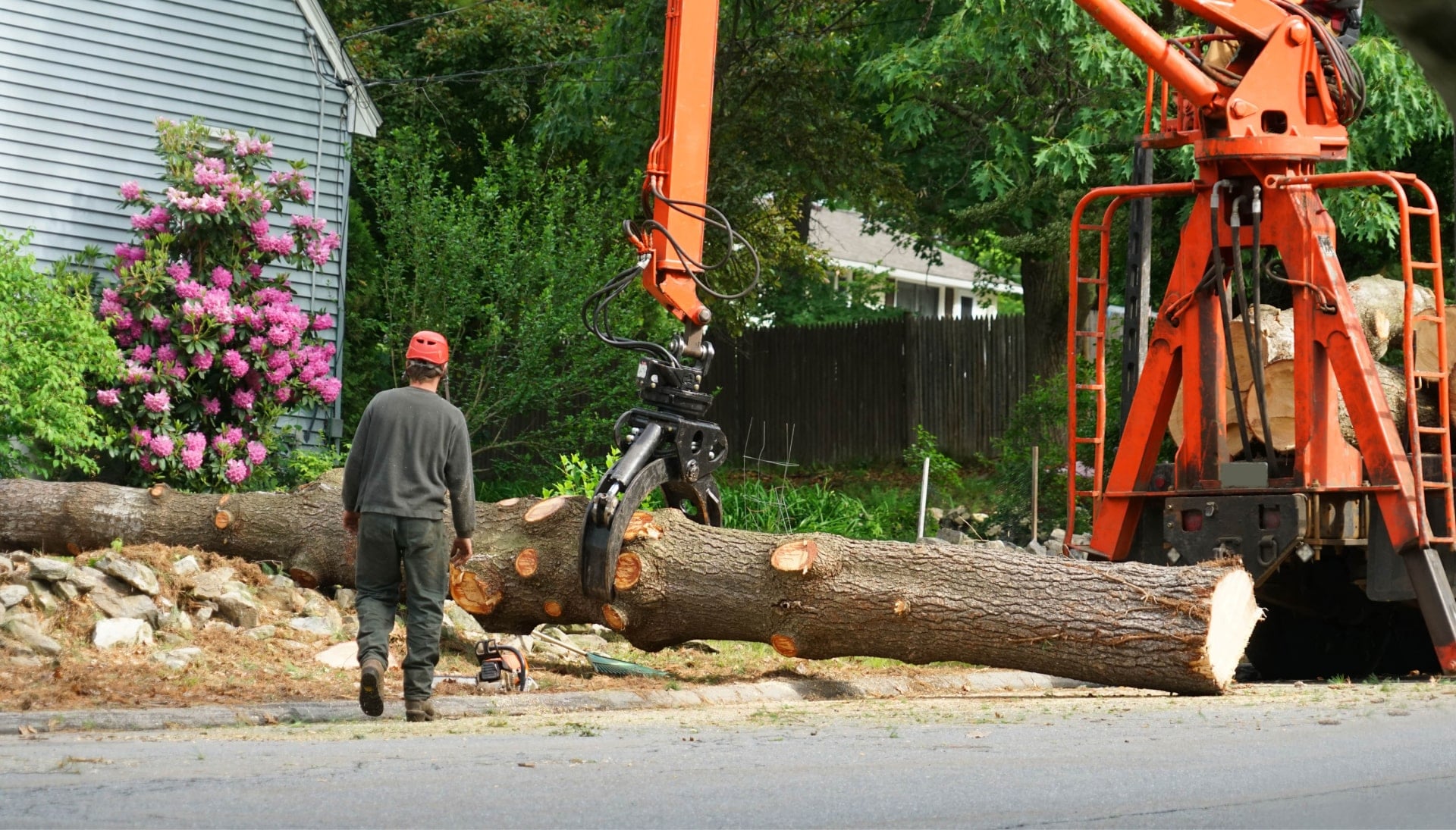 Local partner for Tree removal services in Grand Rapids
